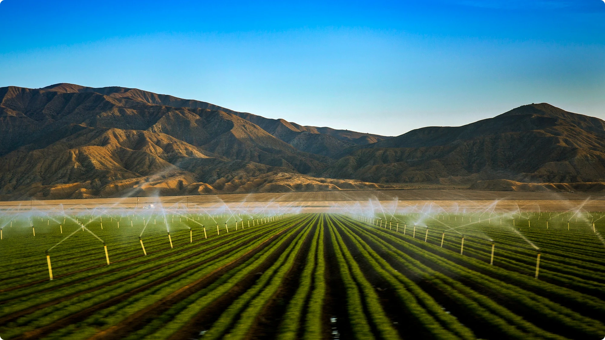 Crop field with an irrigation system beside mountains